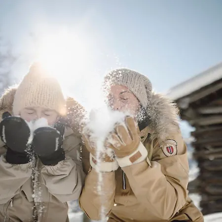 Familien ザールバッハ・ヒンターグレム